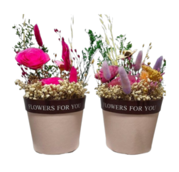 🌸 Masetita con 3 Flores Principales 🌿