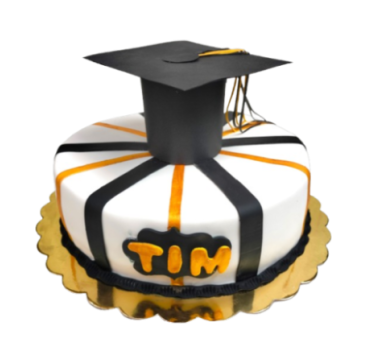 🎂 Maquetas de Torta de 1 Piso✨