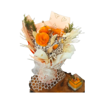 🎁✨ Regalo Especial Ilumina ✨🎁