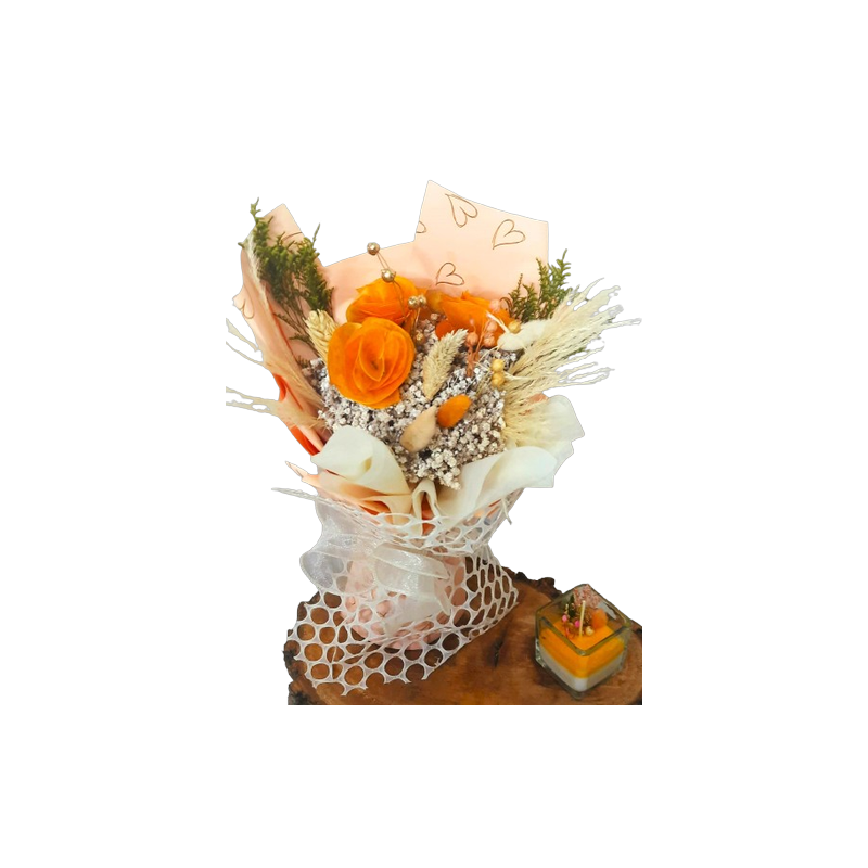 🎁✨ Regalo Especial Ilumina ✨🎁