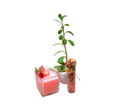 🕯️✨ Vela Aromática de 56 Gr.✨🕯️