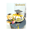 🎓 Servicio de Decoración Temática para Graduaciones 🎓